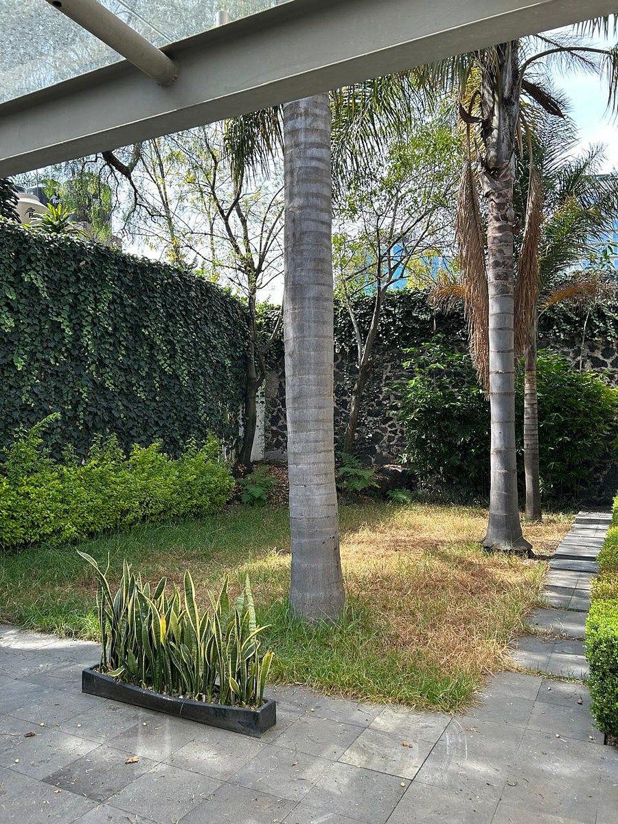 Jardines del Pedregal, Huracán, casa en renta, foto 1 de 18