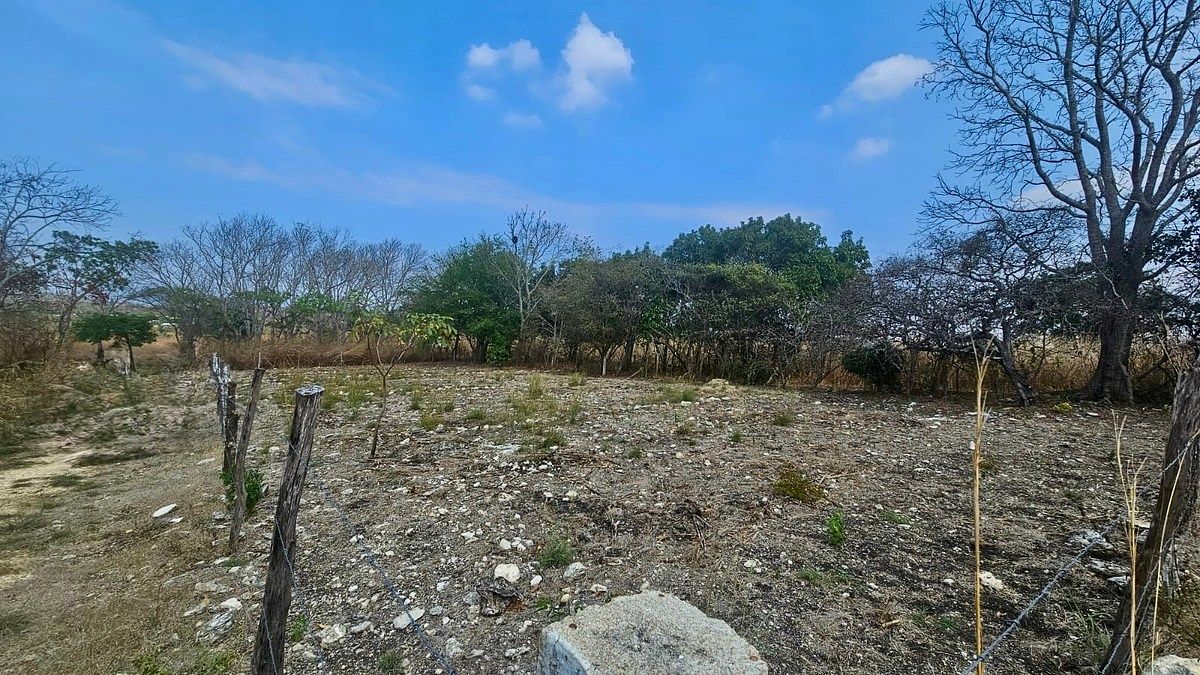 Terreno en Tuxtla Gutiérrez Centro, Tuxtla Gutiérrez, foto 2 de 13