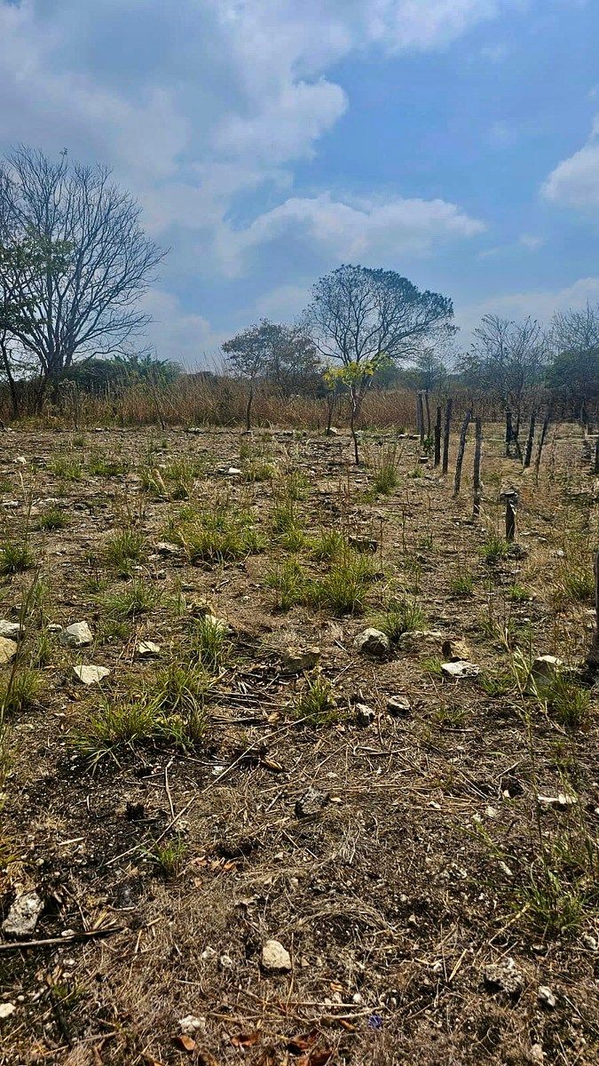 Terreno en Tuxtla Gutiérrez Centro, Tuxtla Gutiérrez, foto 5 de 13