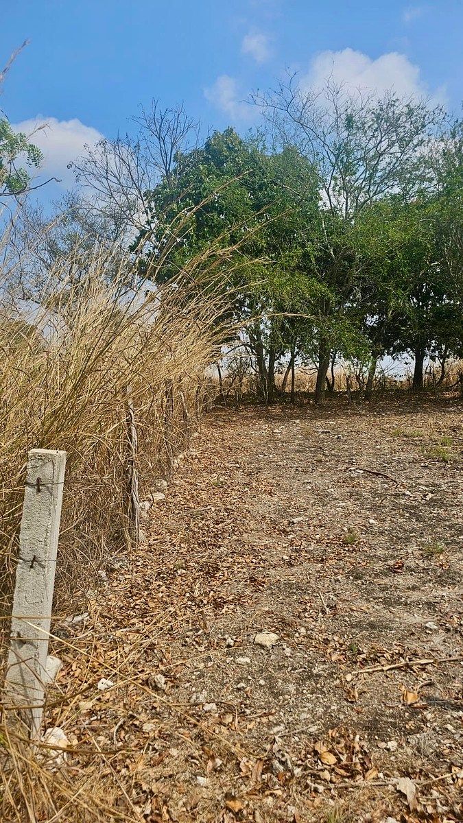 Terreno en Tuxtla Gutiérrez Centro, Tuxtla Gutiérrez, foto 6 de 13