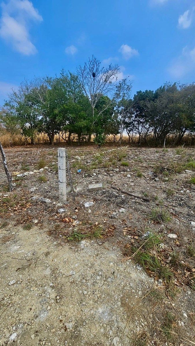 Terreno en Tuxtla Gutiérrez Centro, Tuxtla Gutiérrez, foto 9 de 13