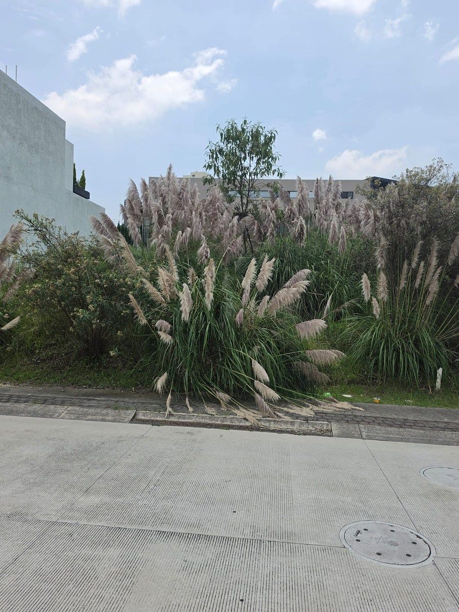 Lot in Bosque Real, Huixquilucan, photo 7 of 9