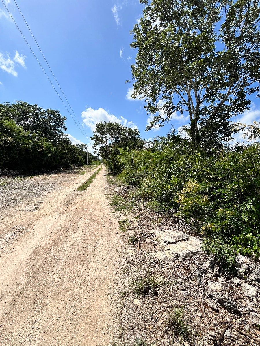 Lot in Conkal, Conkal, photo 5 of 6