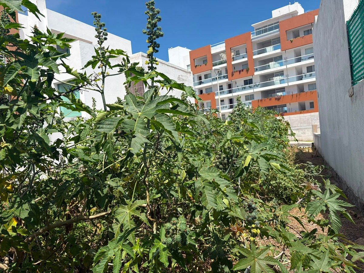 Lote em Zibatá, El Marqués, foto 5 de 10