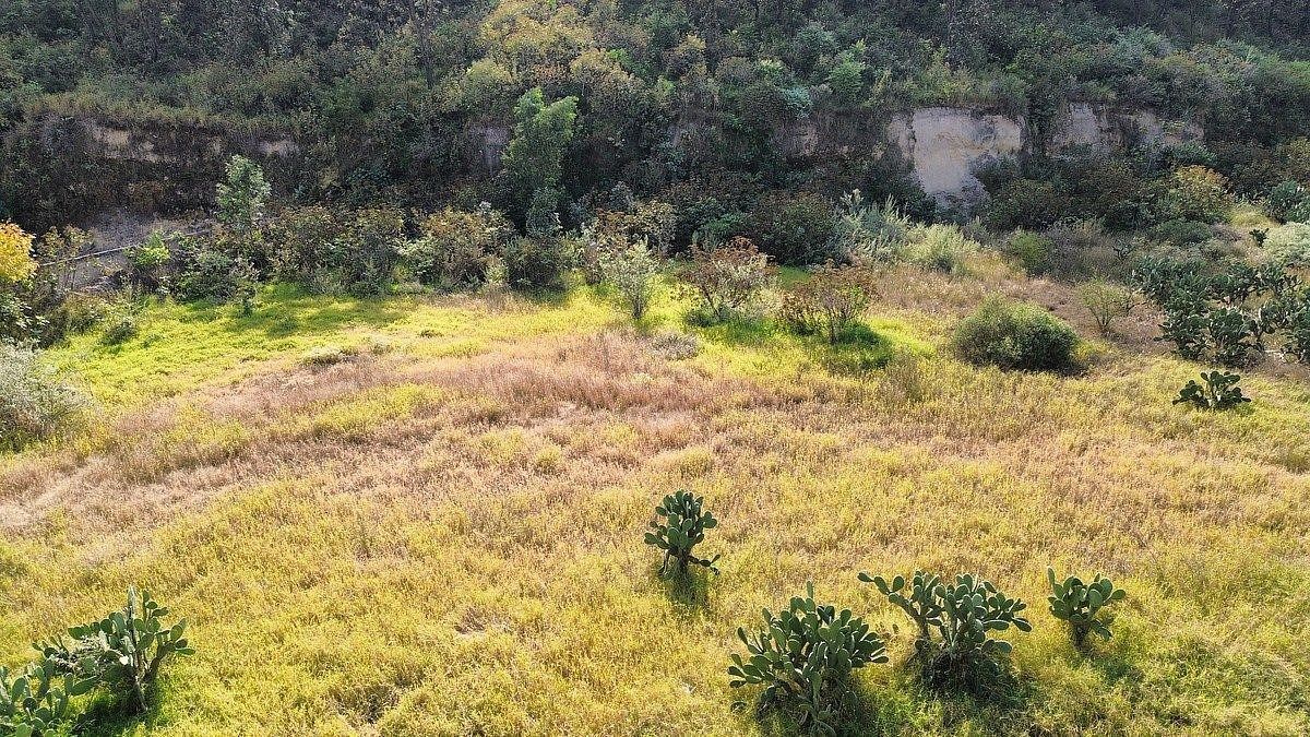 Terreno en Santa Ana Tepetitlán, Zapopan, foto 13 de 17