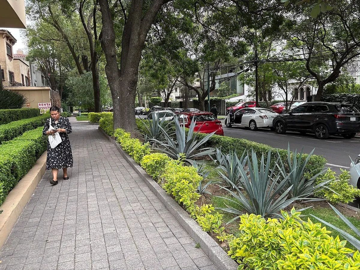 Local em Polanco III Sección, Miguel Hidalgo, foto 14 de 14
