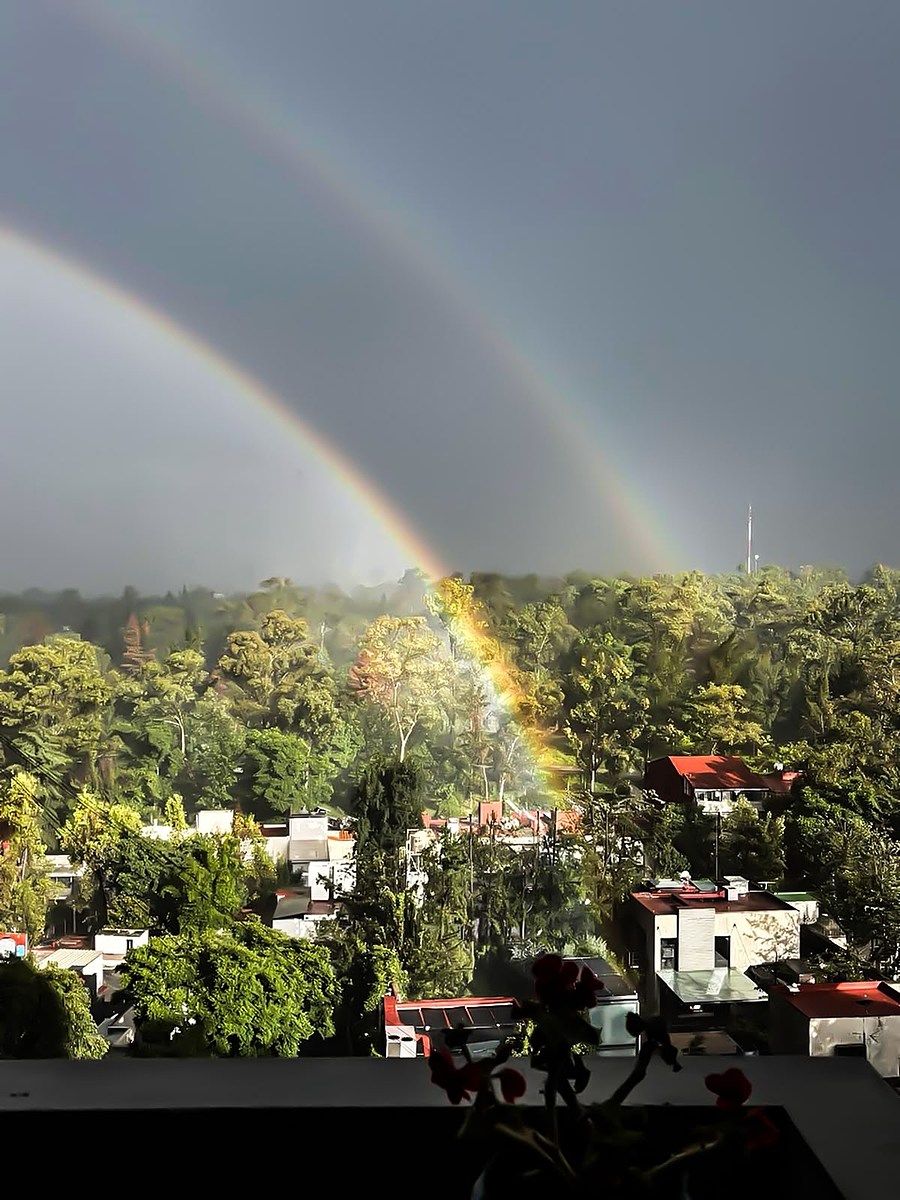 Apartamento em Lomas de Virreyes, Miguel Hidalgo, foto 3 de 15