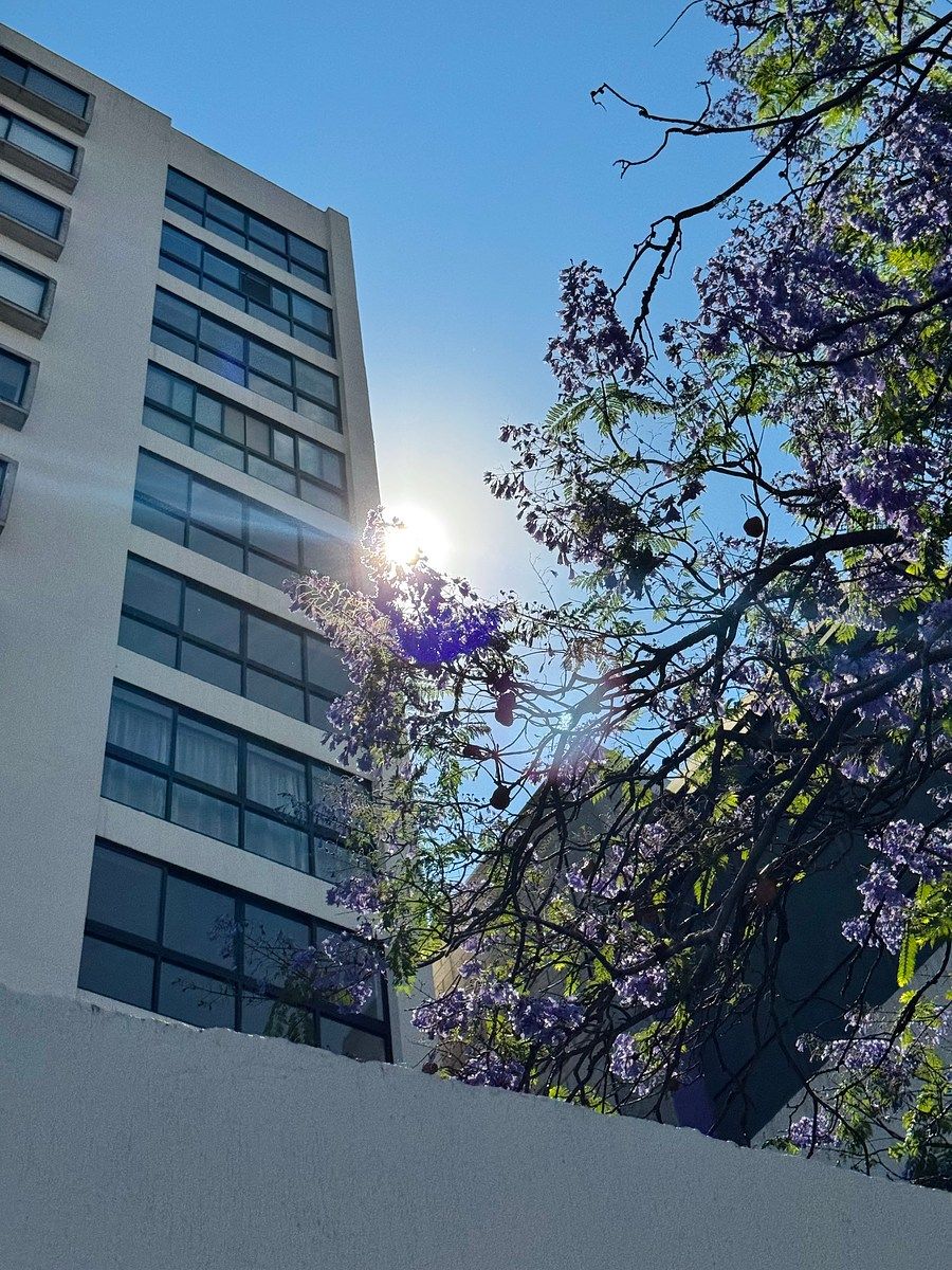 Apartamento em Balcones de Santa María, Tlaquepaque, foto 28 de 31