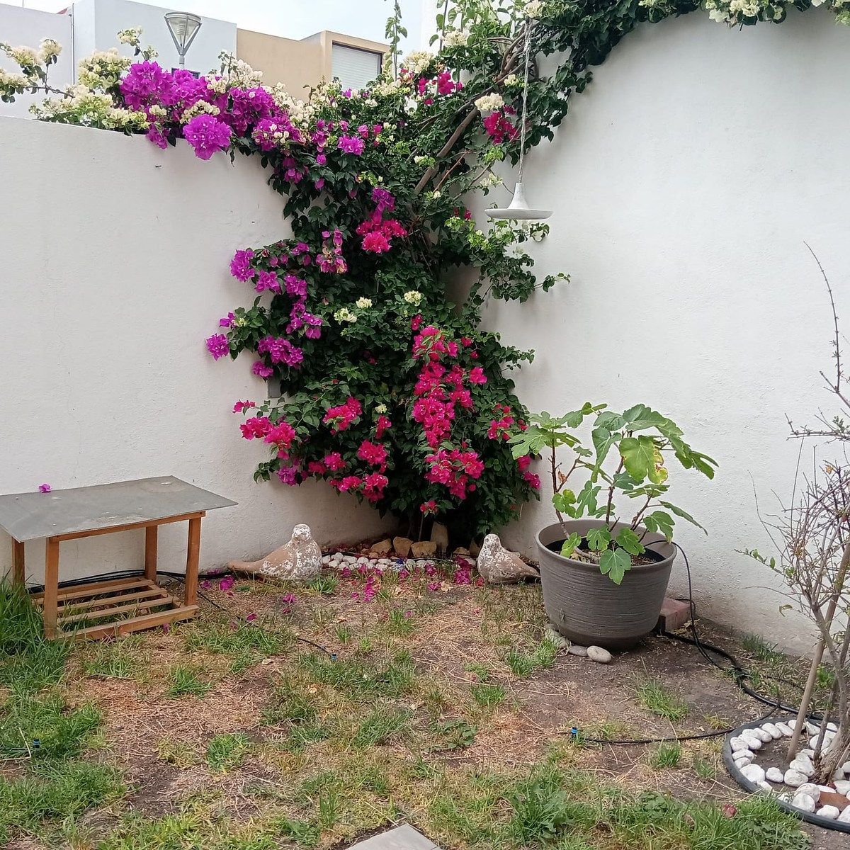 Casa em Zibatá, El Marqués, foto 24 de 30