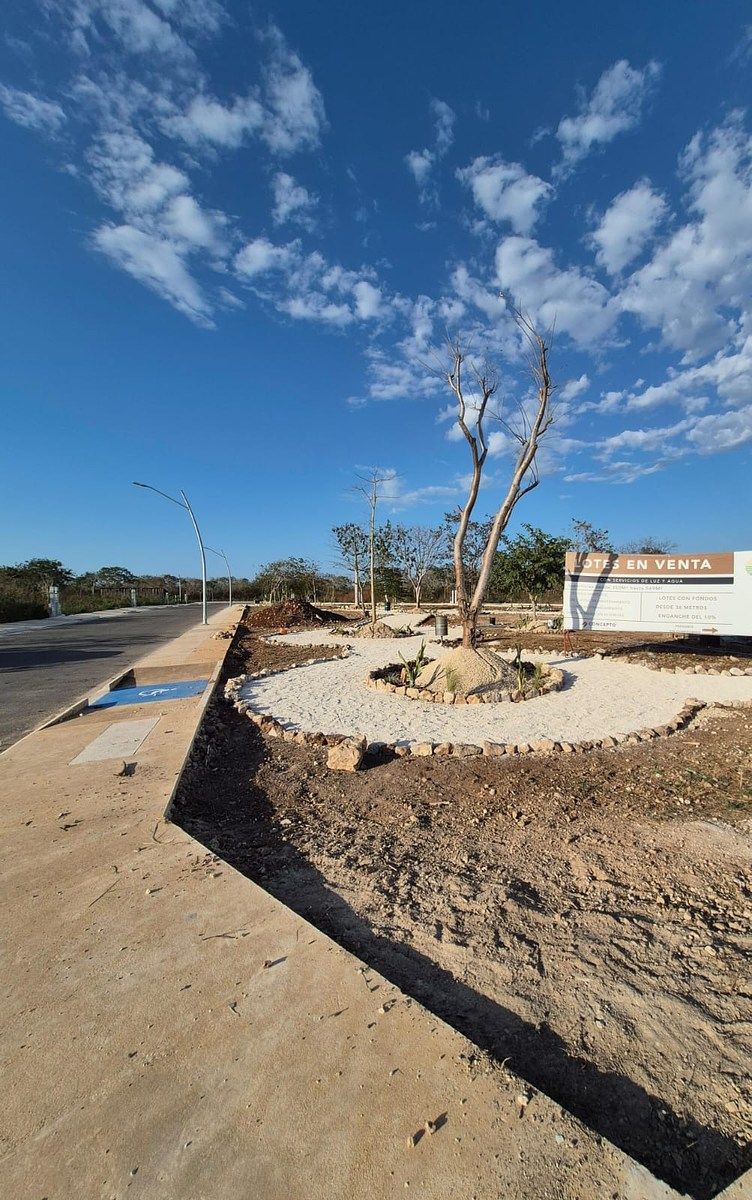 Lote em Cholul, Mérida, foto 4 de 10