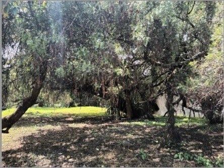 Lote em Lomas de Tecamachalco Sección Bosques I y II, Huixquilucan, foto 3 de 7