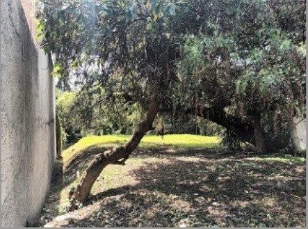 Lote em Lomas de Tecamachalco Sección Bosques I y II, Huixquilucan, foto 4 de 7