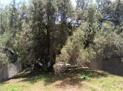 Lote em Lomas de Tecamachalco Sección Bosques I y II, Huixquilucan, foto 5 de 7