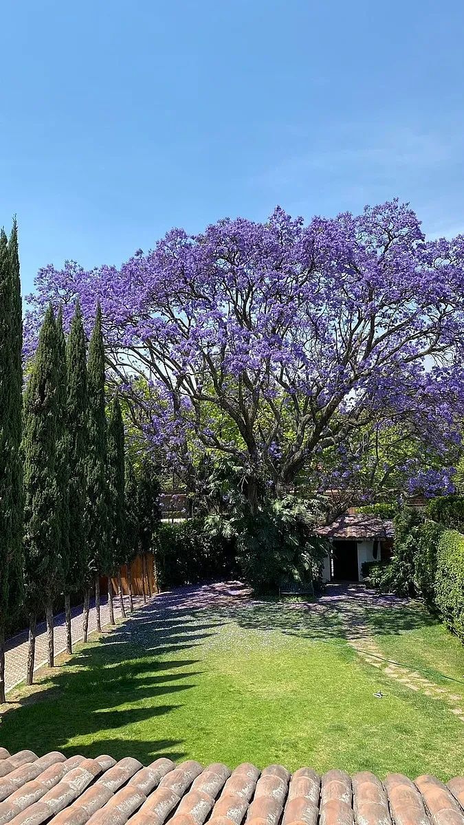 House in Lomas de Chapultepec I Sección, Miguel Hidalgo, photo 25 of 25