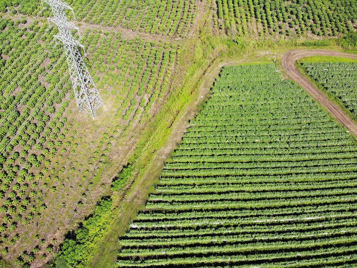 Terreno en Baní, foto 3 de 5