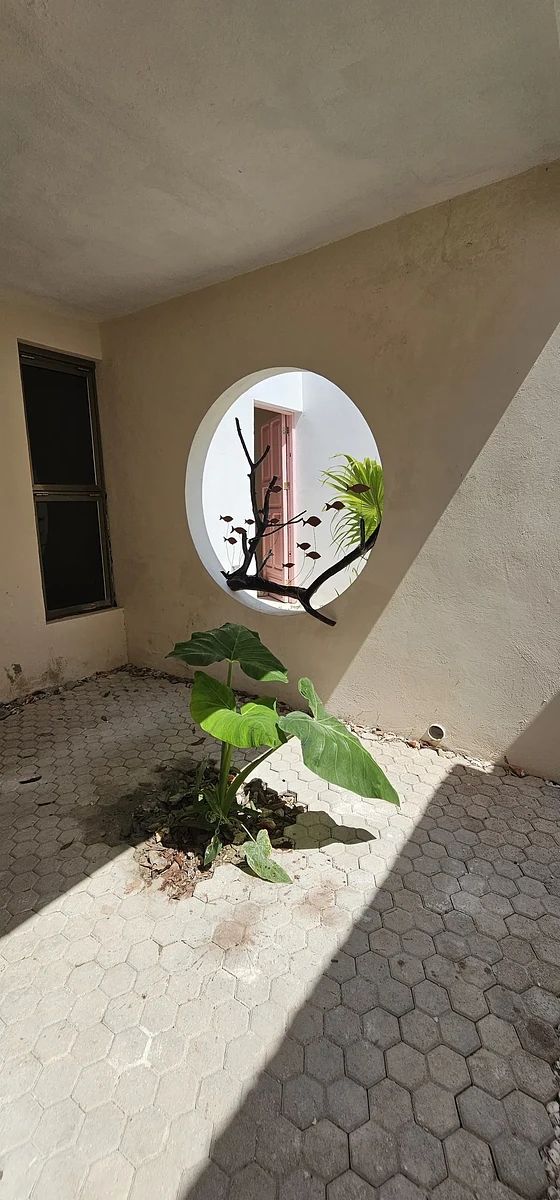 House in San Crisanto, Sinanché, photo 5 of 12