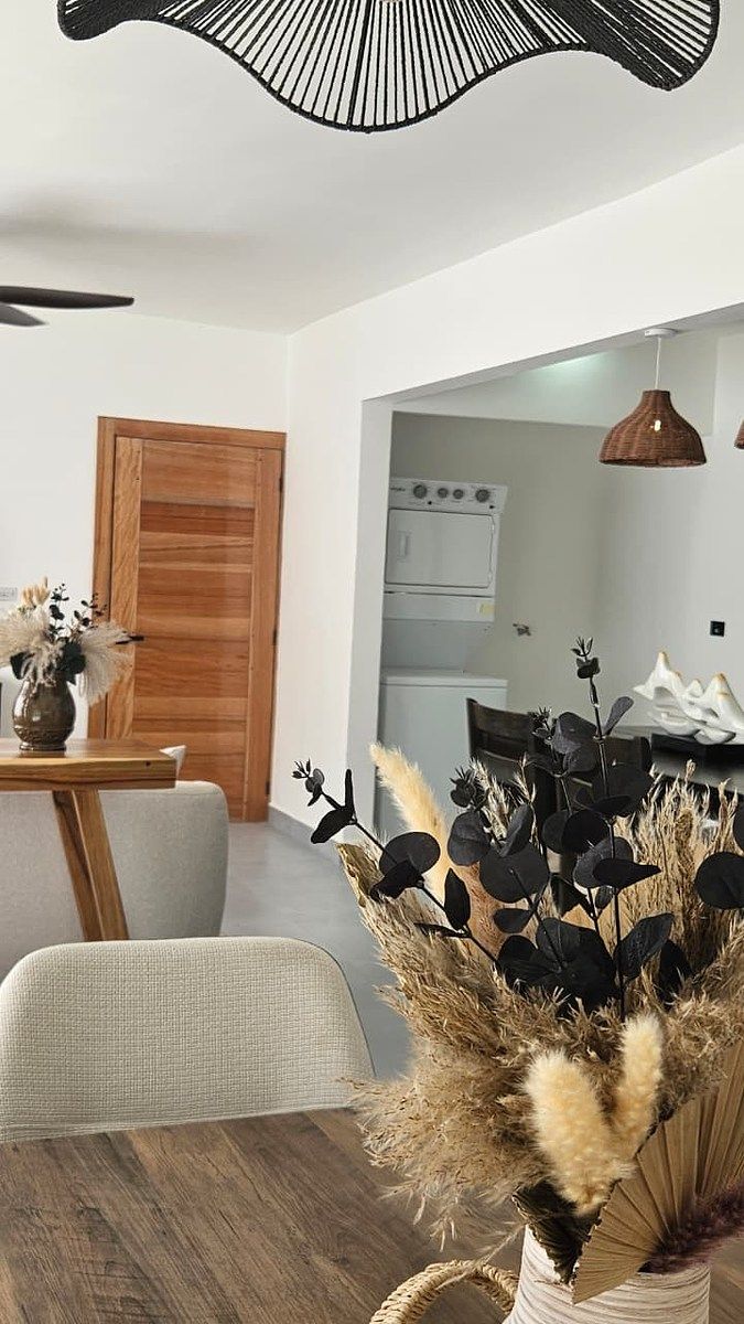 Apartamento en Centro de Ciudad, Las Terrenas, foto 8 de 11