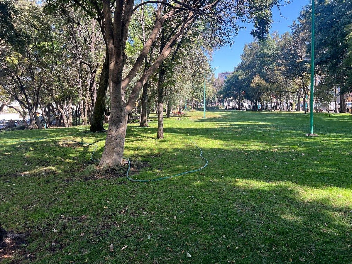 Casa en Venta en Parques del Pedregal Rayo Vende ®, foto 35 de 35