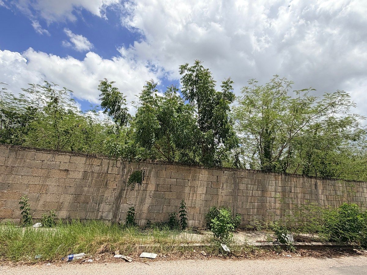 Lote em El Roble Agrícola, Mérida, foto 5 de 16