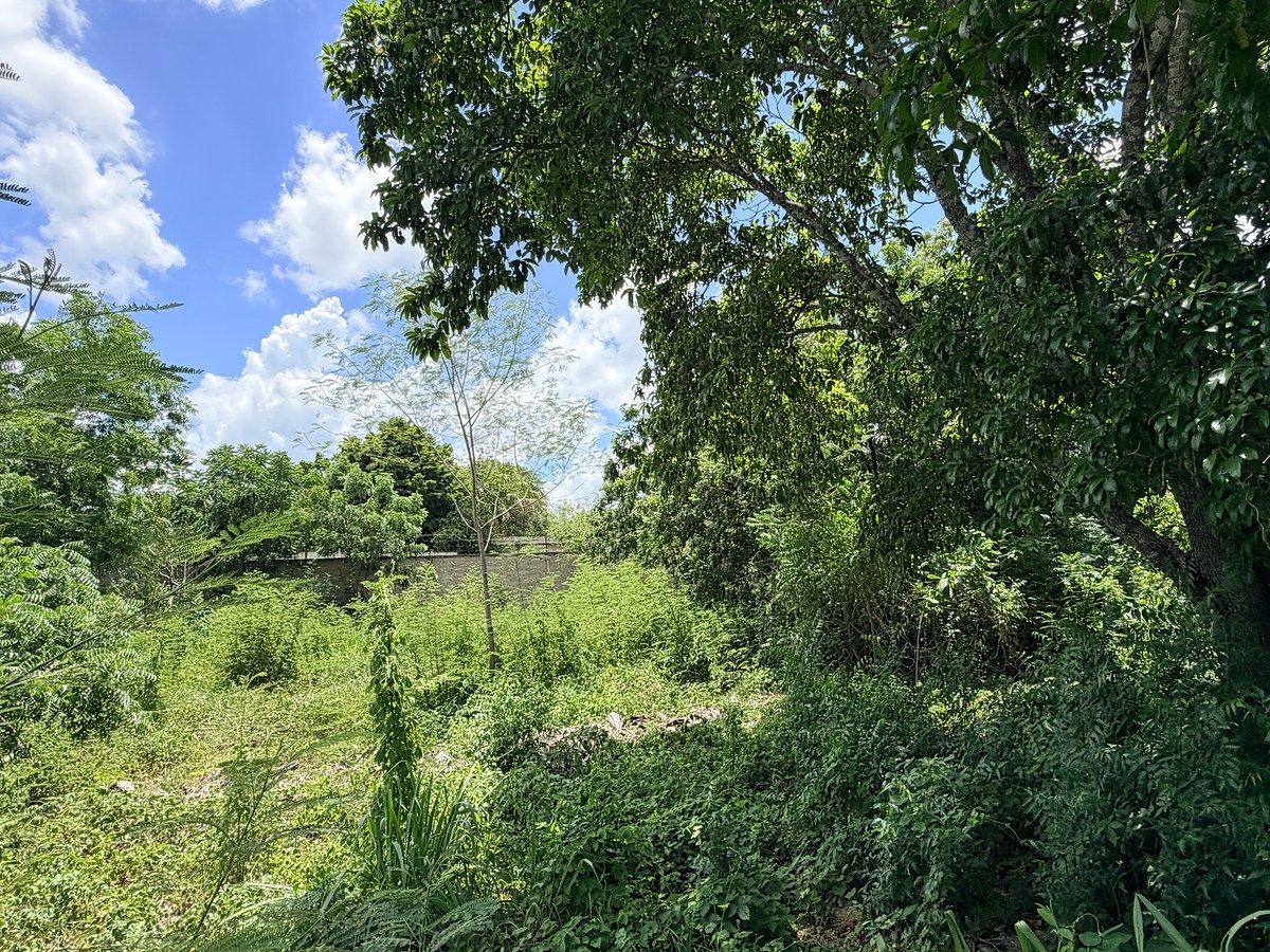 Lote em El Roble Agrícola, Mérida, foto 9 de 16