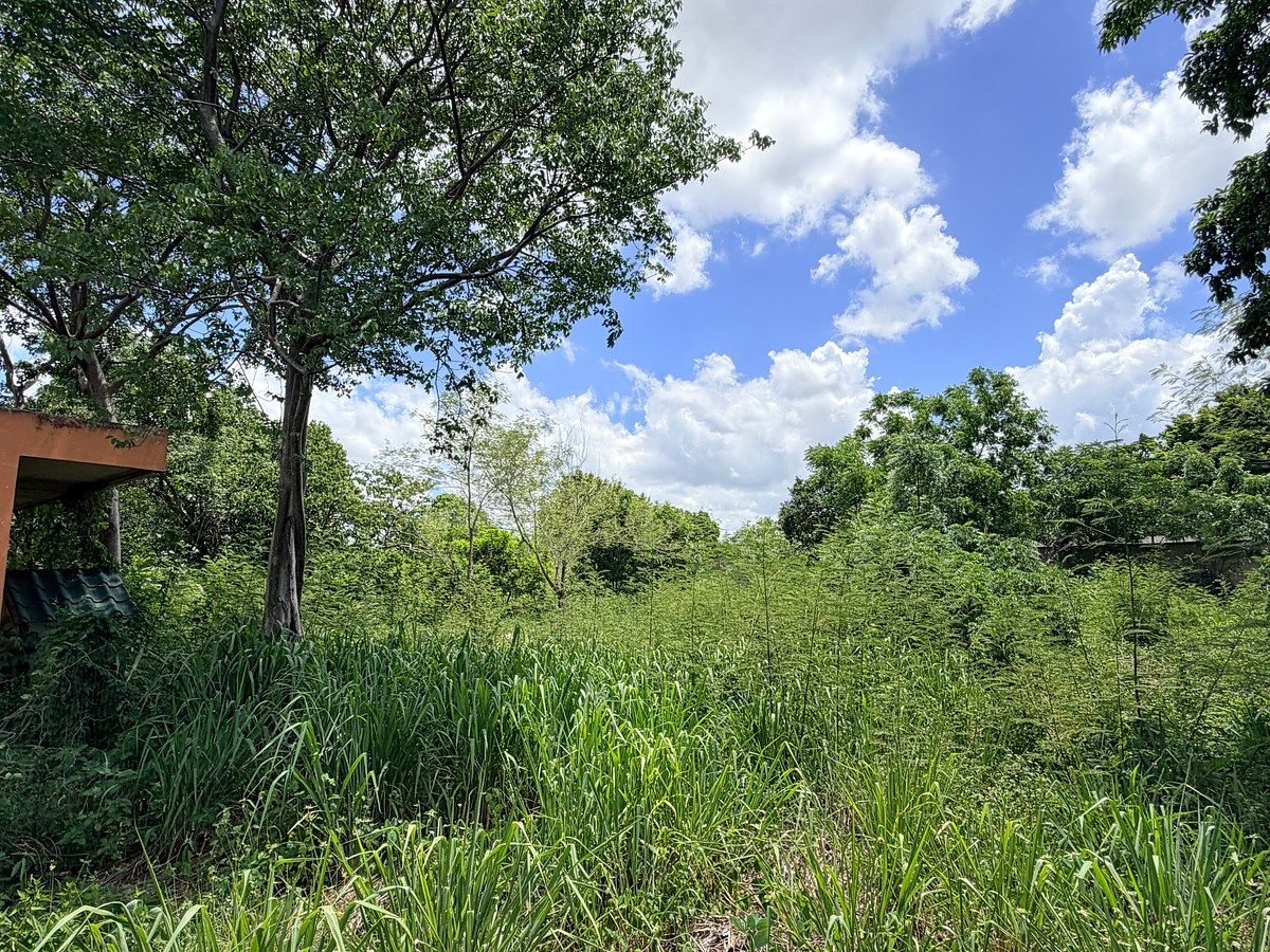 Lote em El Roble Agrícola, Mérida, foto 11 de 16