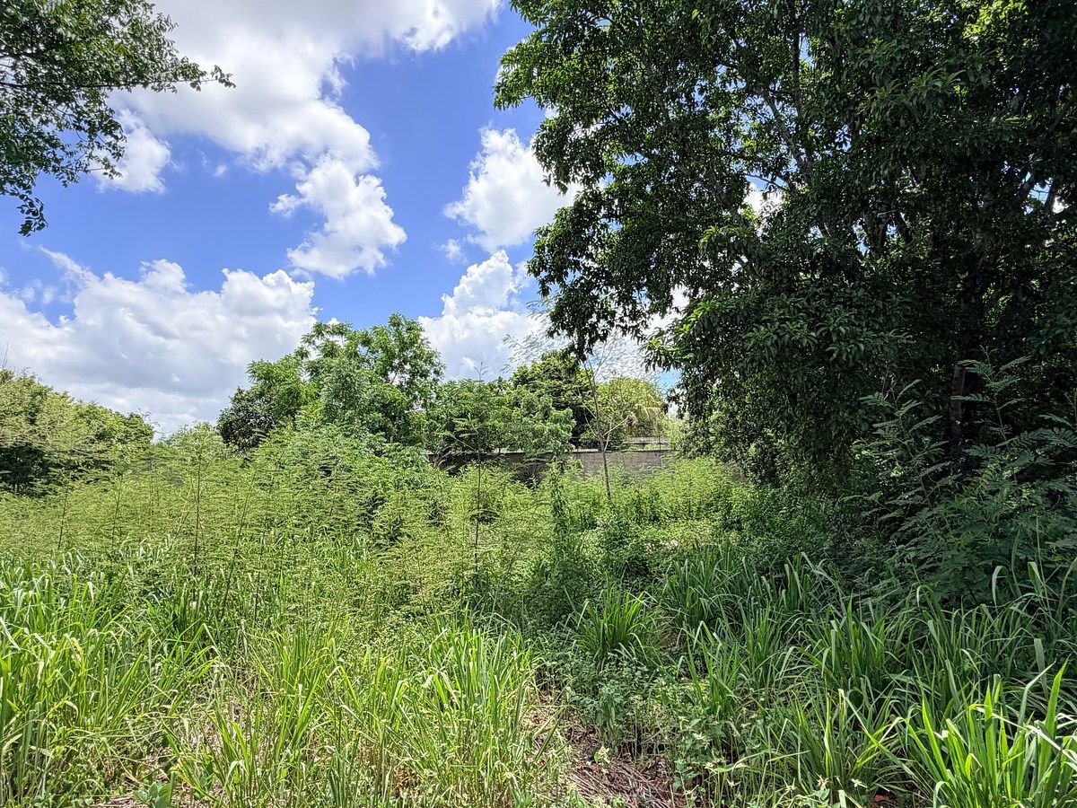 Lote em El Roble Agrícola, Mérida, foto 12 de 16