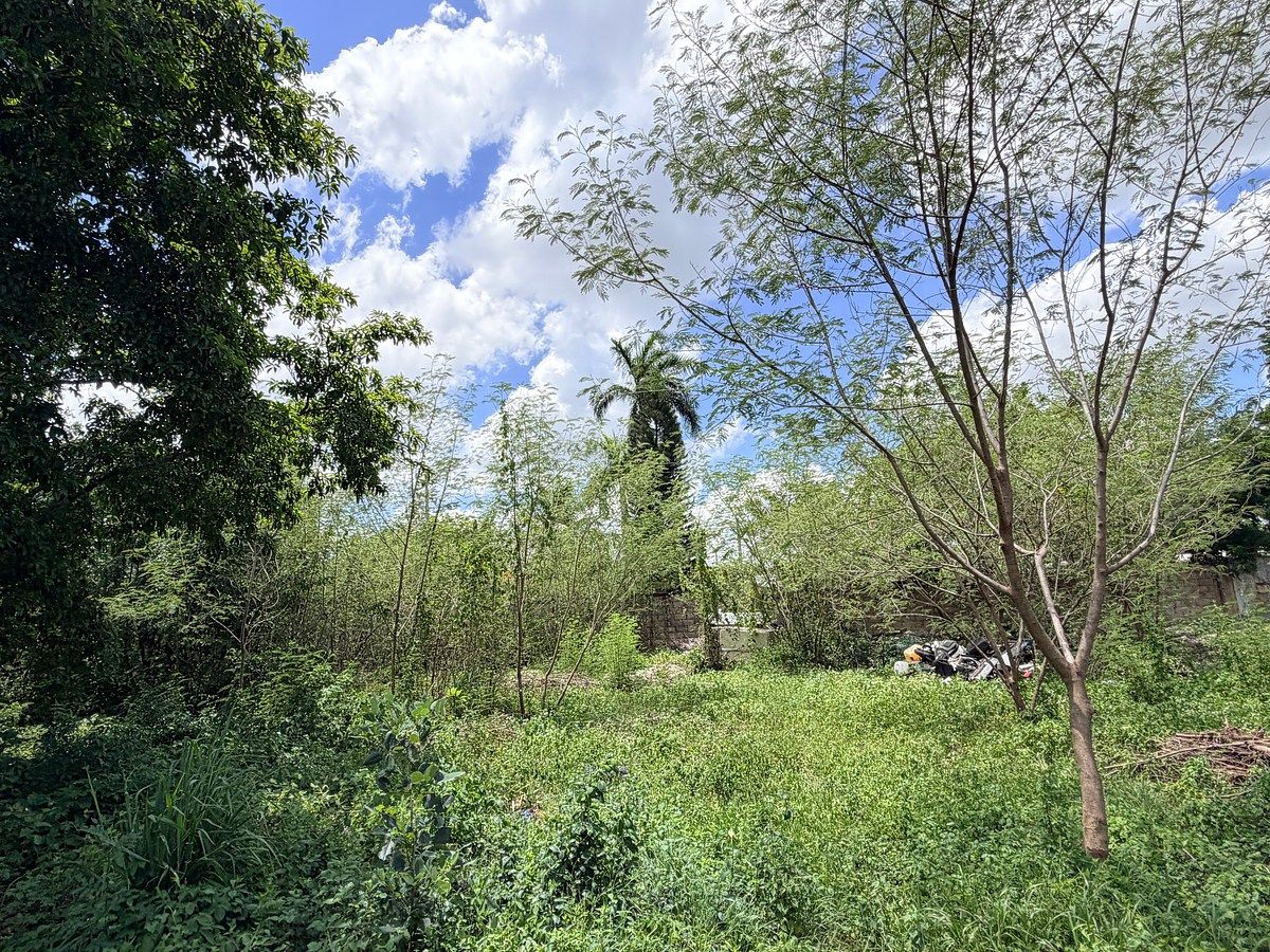 Lote em El Roble Agrícola, Mérida, foto 13 de 16