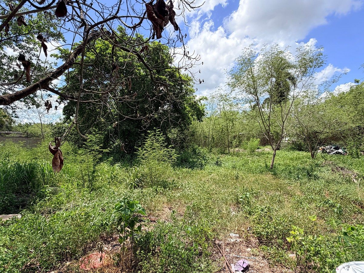Lote em El Roble Agrícola, Mérida, foto 14 de 16