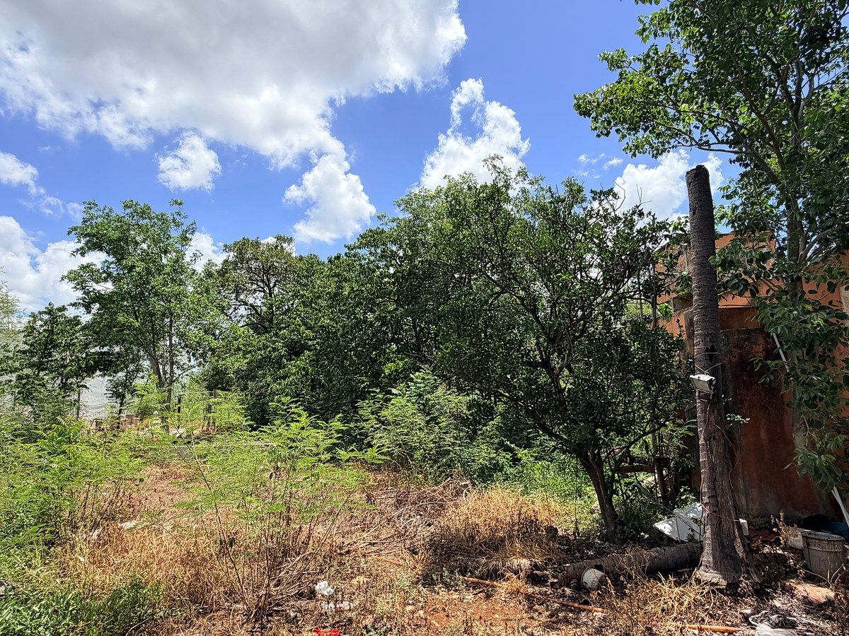 Lote em El Roble Agrícola, Mérida, foto 15 de 16