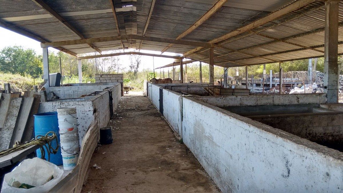 Rancho en Timucuy, Timucuy, foto 7 de 26
