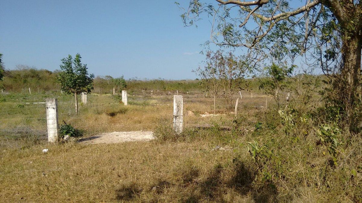 Rancho en Timucuy, Timucuy, foto 12 de 26
