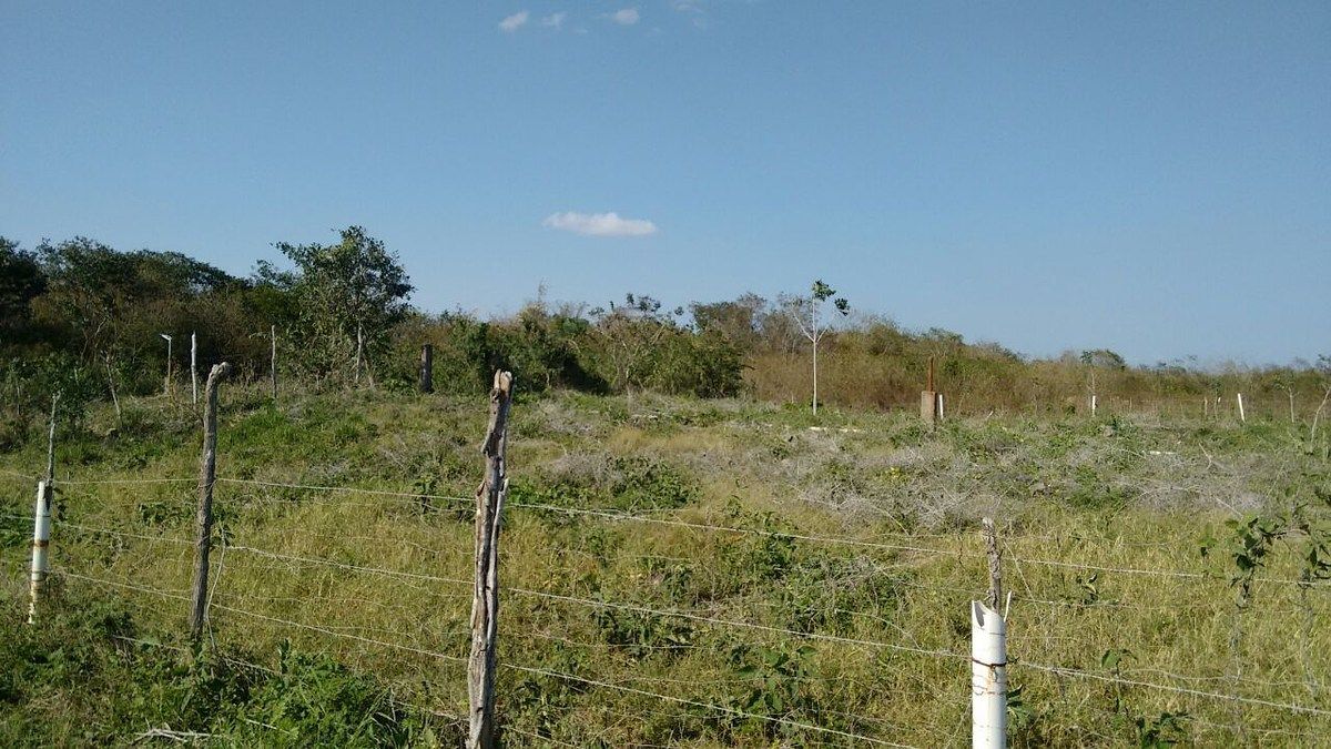 Rancho en Timucuy, Timucuy, foto 6 de 26
