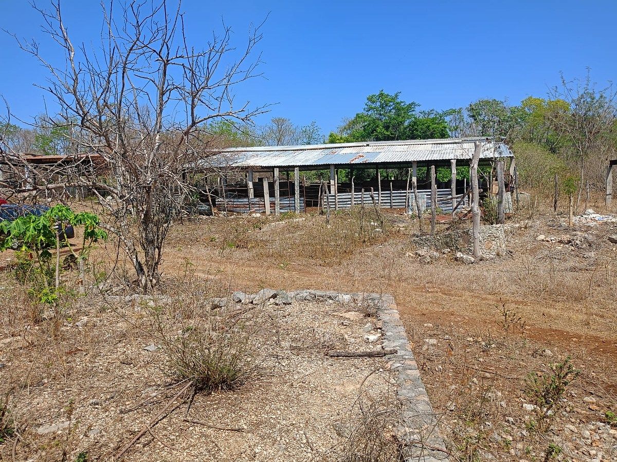 Rancho en Timucuy, Timucuy, foto 19 de 26