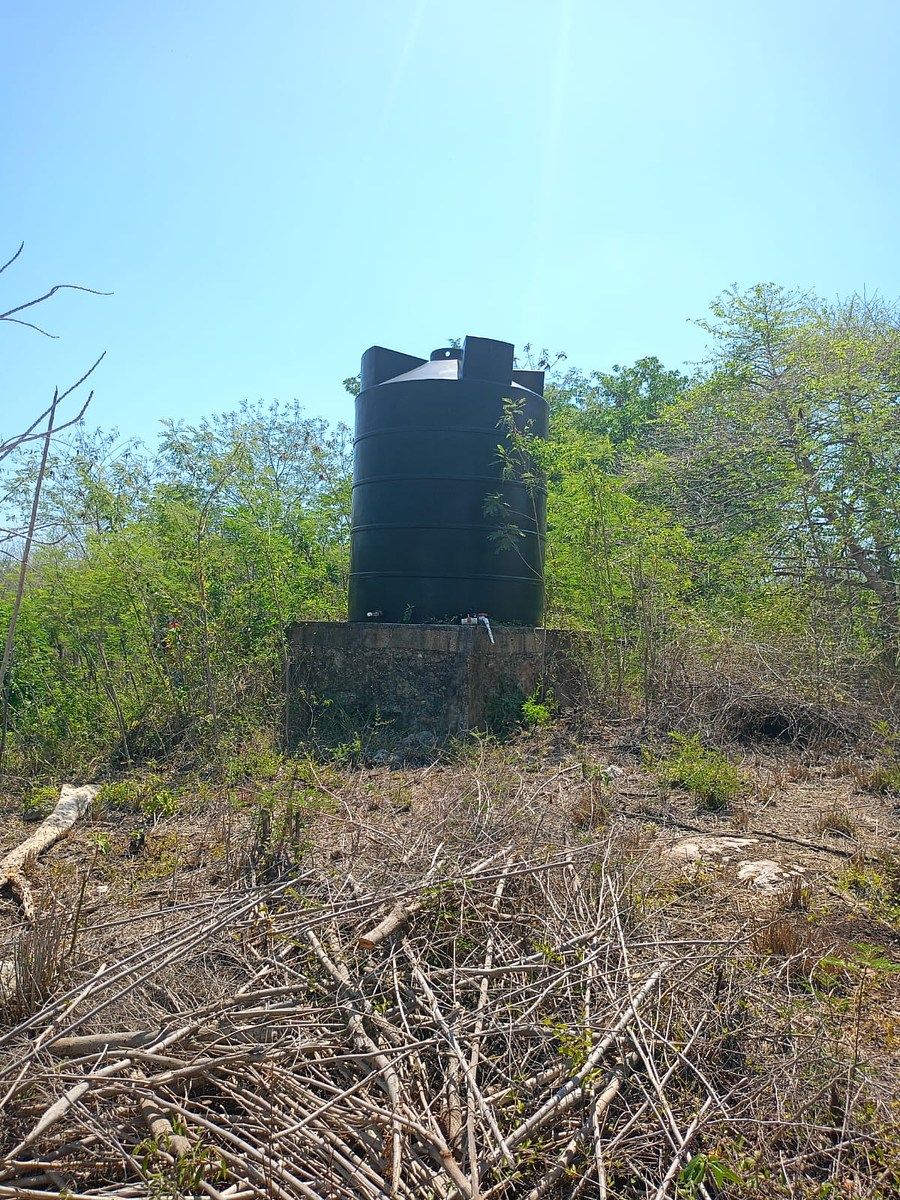 Rancho en Timucuy, Timucuy, foto 13 de 26