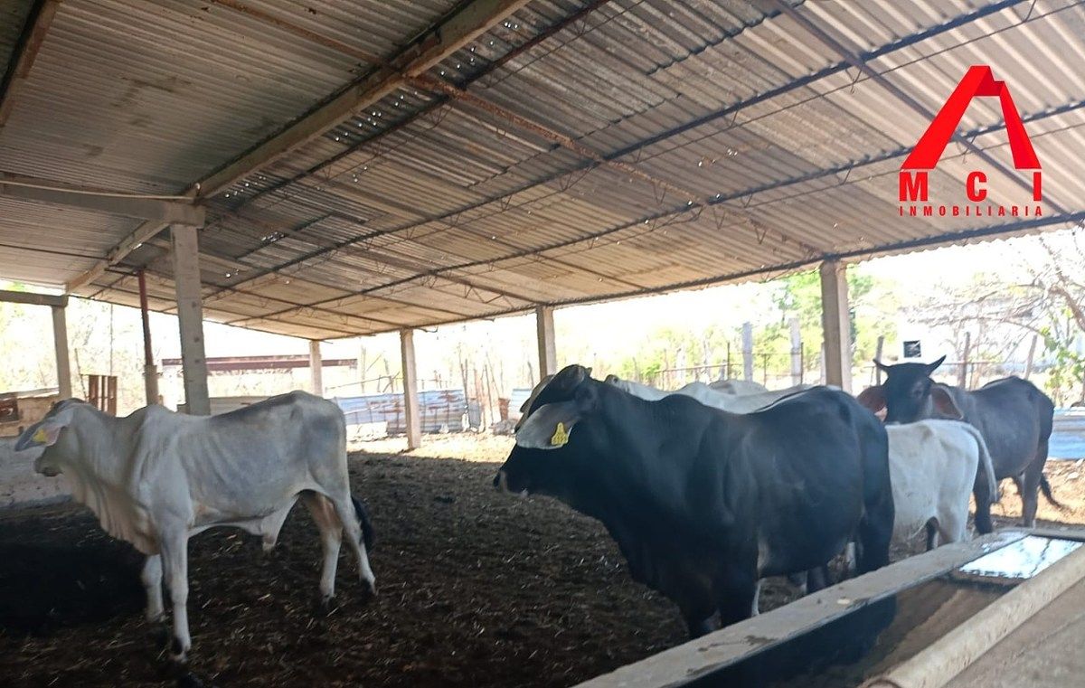 Rancho en Timucuy, Timucuy, foto 21 de 26
