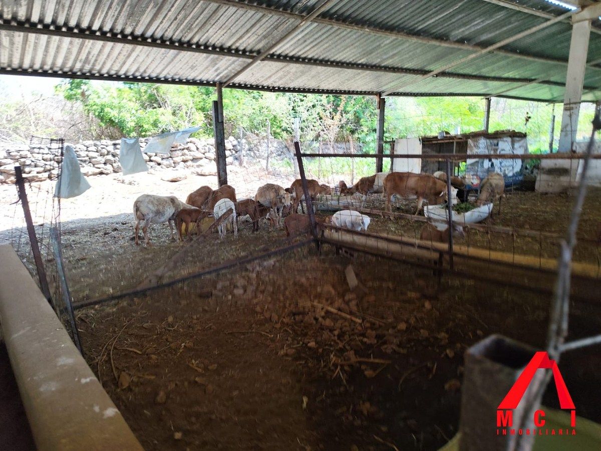 Rancho en Timucuy, Timucuy, foto 22 de 26