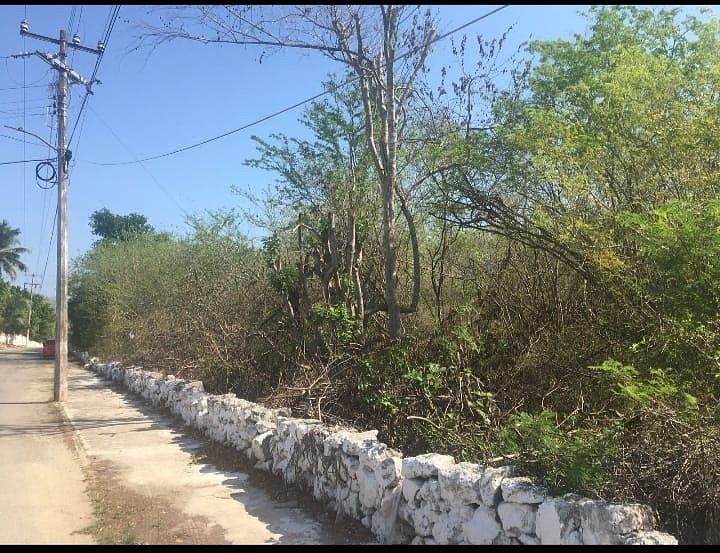 Lot in Hocaba, Hocabá, photo 3 of 6