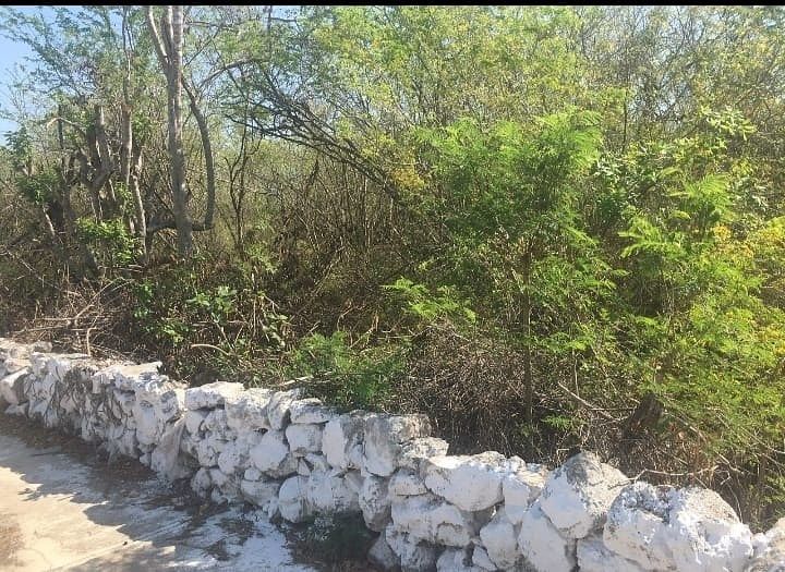 Lot in Hocaba, Hocabá, photo 2 of 6