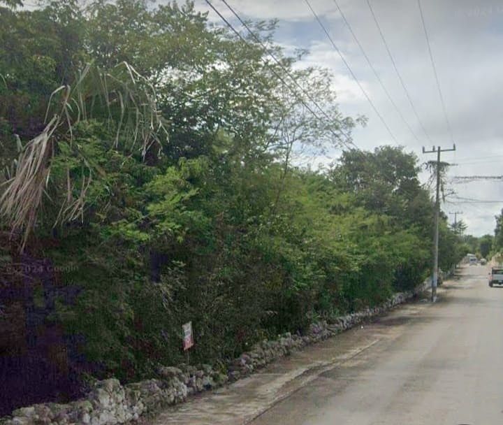 Lot in Hocaba, Hocabá, photo 6 of 6