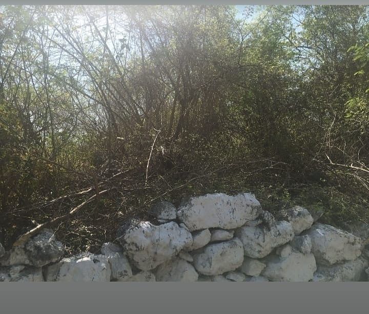 Lot in Hocaba, Hocabá, photo 5 of 6
