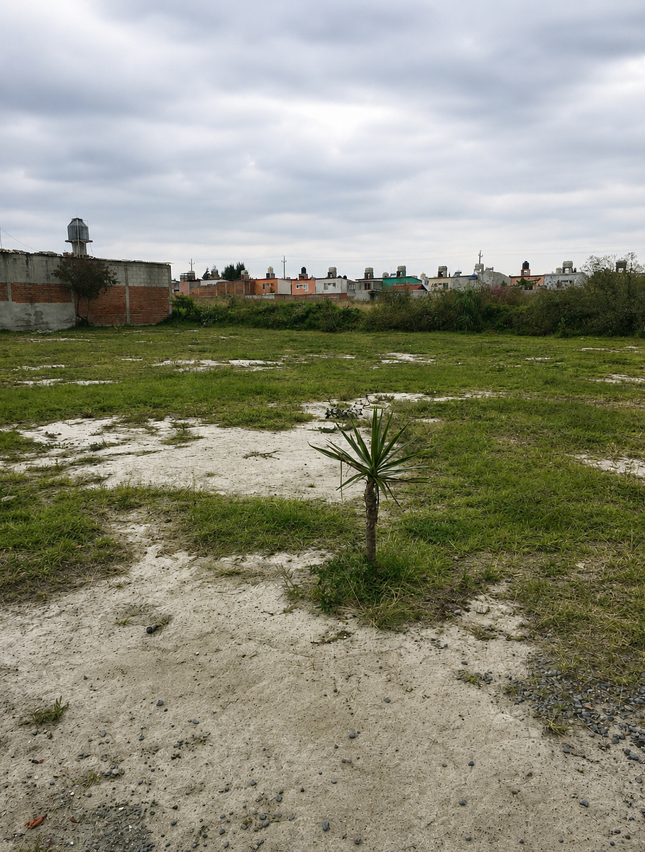 Lote em Apetlahuaya, Apizaco, foto 4 de 5