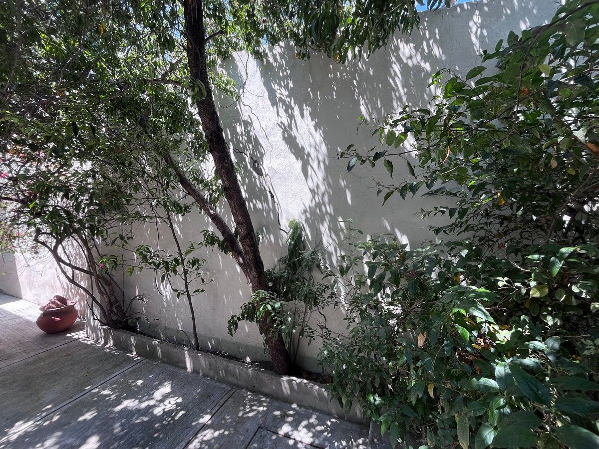 Casa em Altavista, Aguascalientes, foto 4 de 18