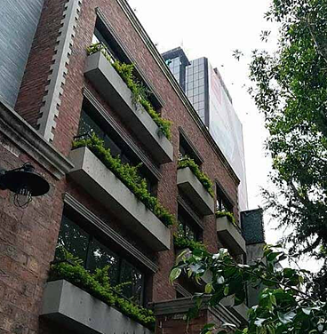 Departamento en Polanco II Sección, Miguel Hidalgo, foto 11 de 12