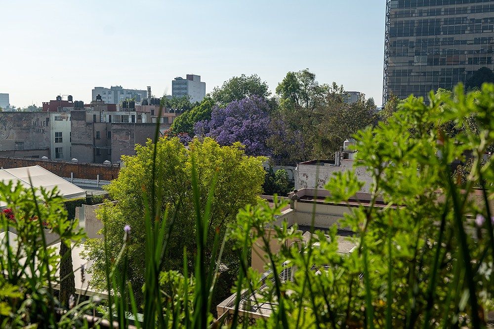 Apartment in Roma Norte, Cuauhtémoc, photo 16 of 16