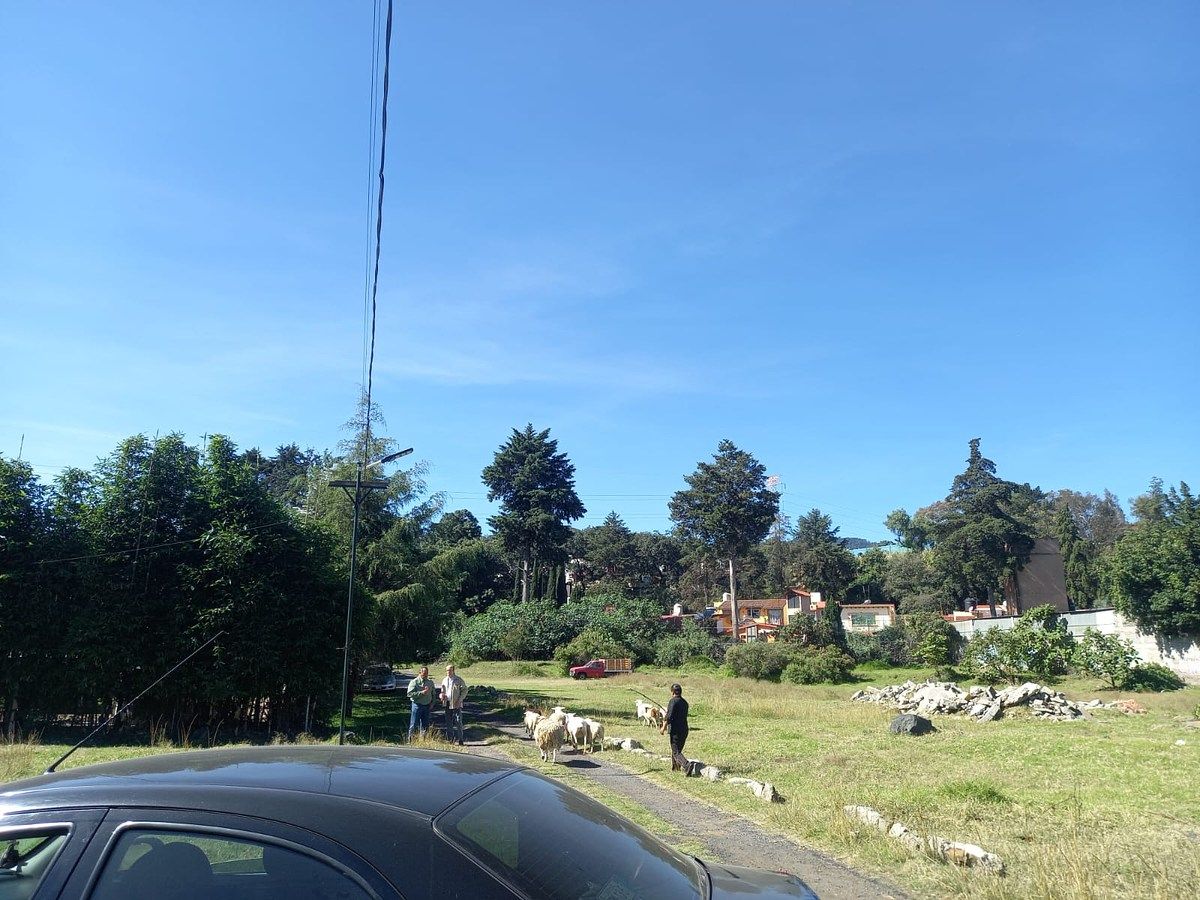 Venta de terreno "Flor Silvestre" en Pedregal de San Nicolas, foto 1 de 8