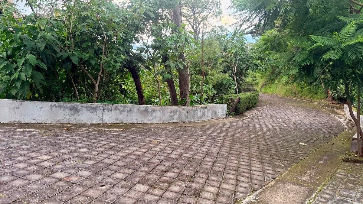Terreno en Pinar de La Venta, Zapopan, foto 6 de 7