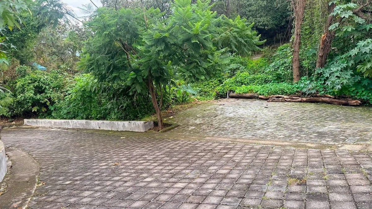 Terreno en Pinar de La Venta, Zapopan, foto 7 de 7