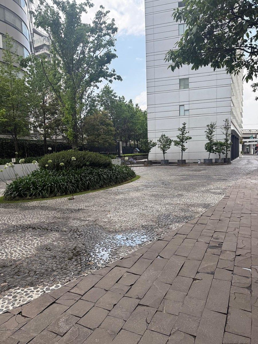 Departamento en Santa Fe Cuajimalpa, Cuajimalpa de Morelos, foto 17 de 21