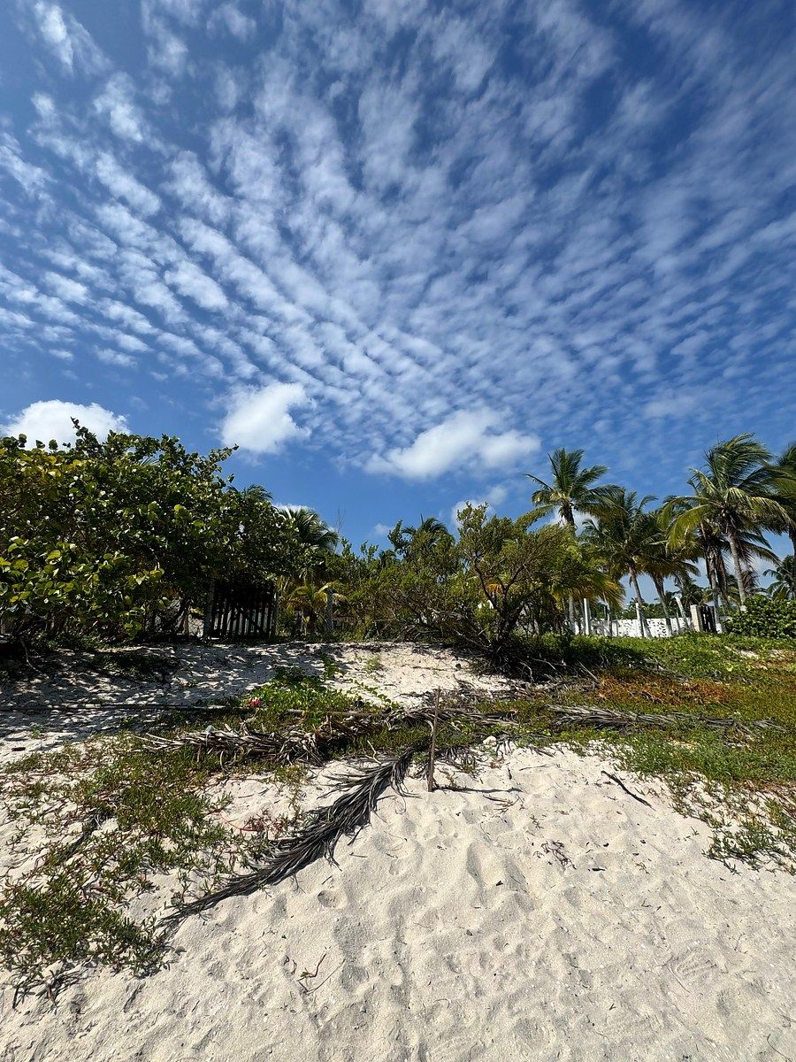 Lote em San Crisanto, Sinanché, foto 2 de 3