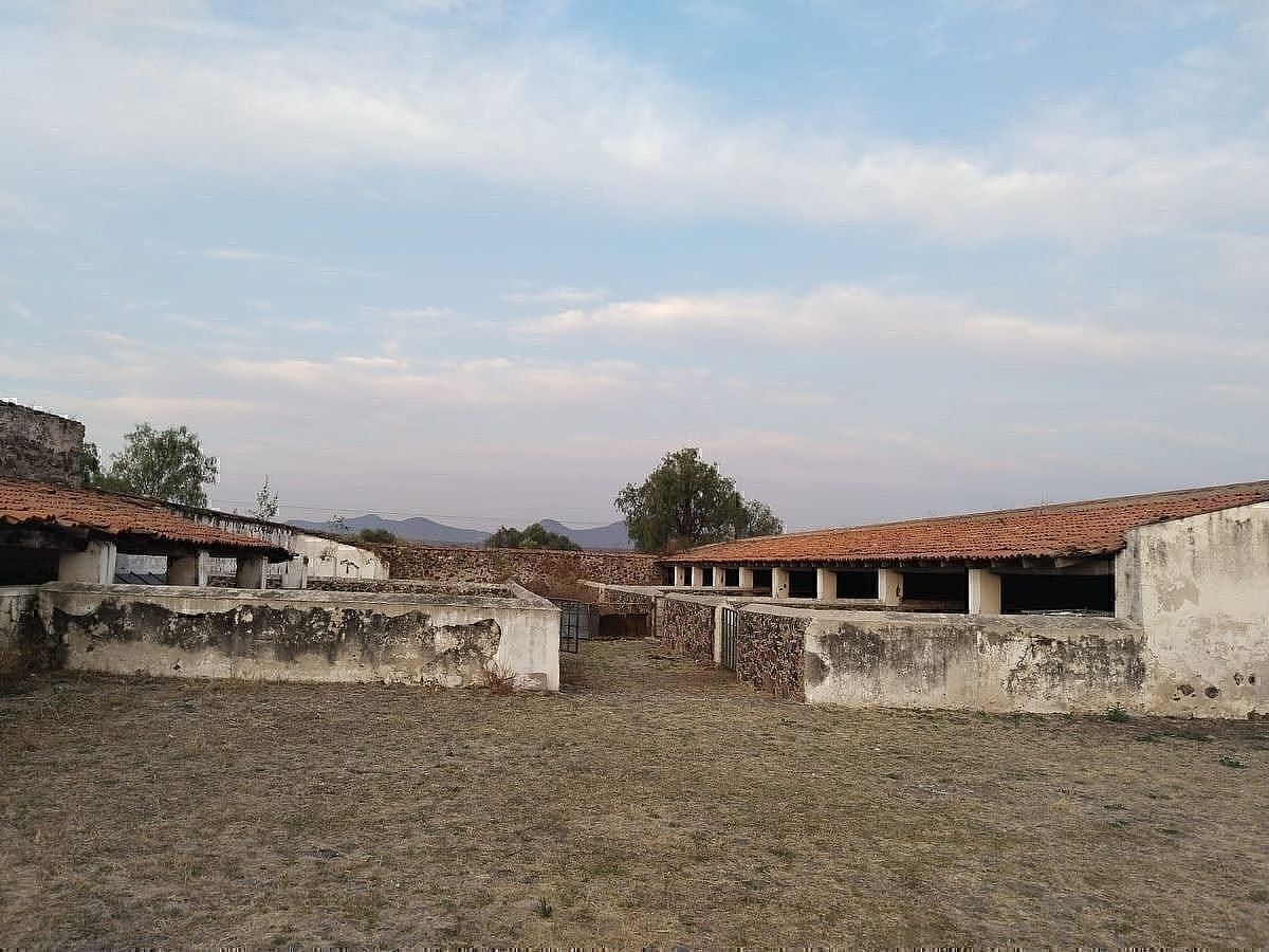 Ranch in Guadalupe, Huichapan, photo 2 of 13